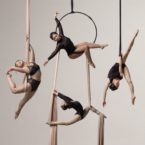 Aerial Arts Collective