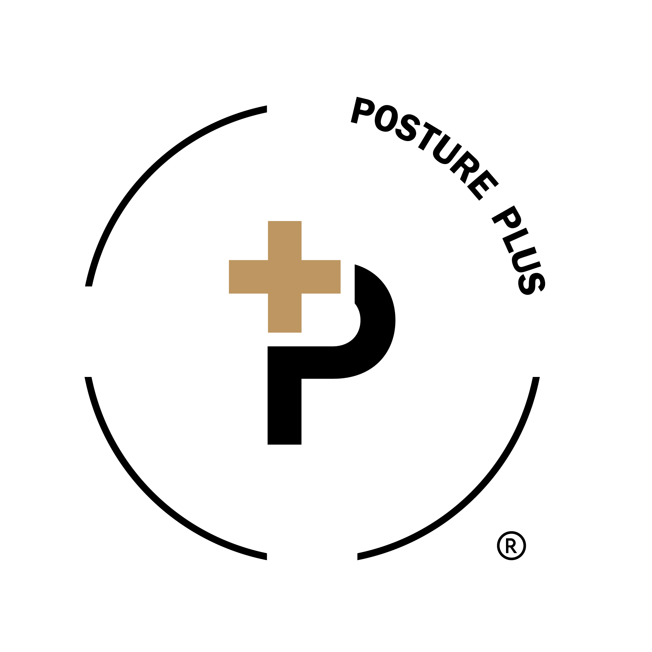 Posture Plus