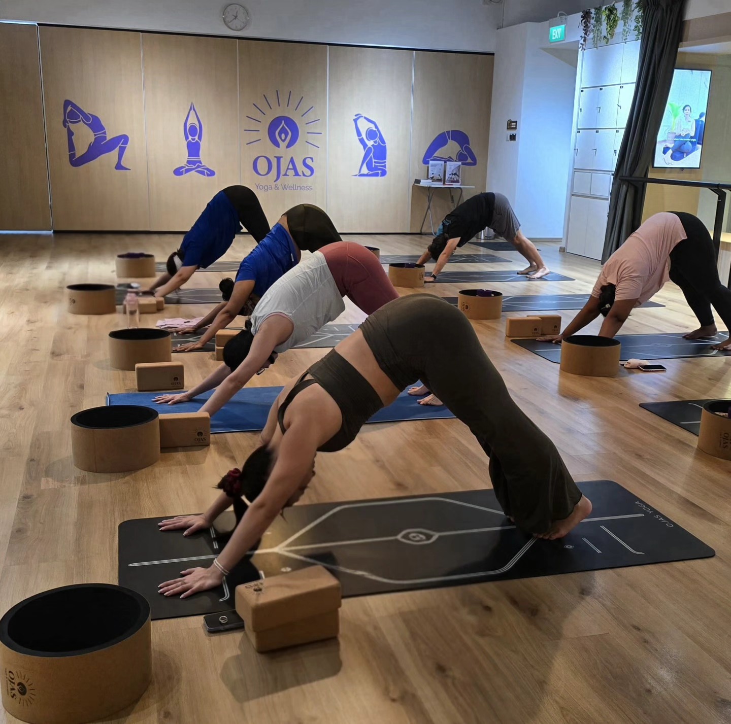 Ojas Yoga and wellness