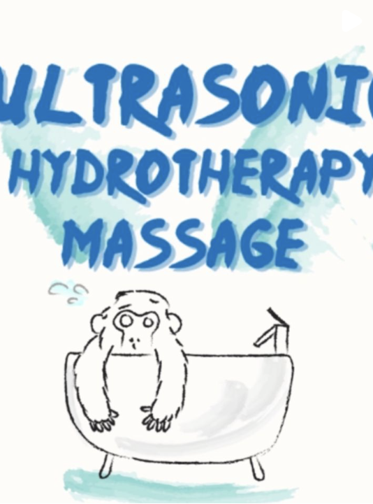 Shiruki Studio (Taliaventures Pte Ltd)